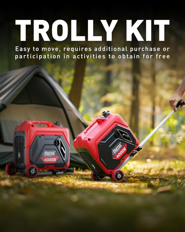 Generador ERAYAK 4000W - Imagen 4